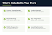 build a professional shopify dropshipping store