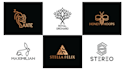 design a professional elegant feminine logo