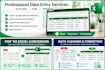 do accurate data entry, excel data cleaning and formatting