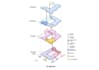 do architectural circulation diagrams