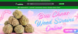 build a cannabis website cbd store for your weed business