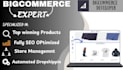 design customize and develop your bigcommerce store