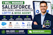 manage salesforce, real geeks, sierra interactive, lofty and wise agent