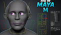 rig autodesk maya character with advanced controllers and weight painting