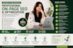 do a professional shopify SEO audit and optimization