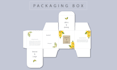 create a professional box packaging template
