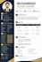 make a professional cv for jobs