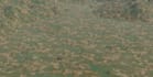 create professional uav mapping, satellite imagery, drone survey, 3d orthophoto