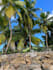 take breathtaking seychelles landscape