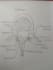 draw diagrams and write assignments