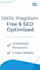 write SEO blog posts and website articles