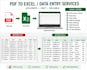 do professional data entry and excel spreadsheet work