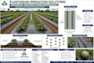 design a professional  irrigation systems