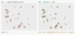 build a custom comfyui workflow for batch background removal
