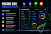 provide micro seo research
