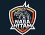draw modern style dragon mascot logo design