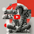 design cinematic and professional youtube thumbnail