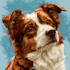 create a cartoon pet portrait from photo