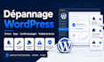 fix wordpress bugs errors and website issues