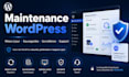provide professional wordpress maintenance and support