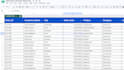 clean, organize, and format your google sheets data