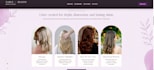 redesign or refresh your wordpress business website