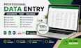 do accurate data entry,copypaste,web research,and excel data entry