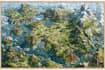draw fantasy map illustration