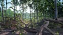 create 3d game environment, unreal engine environment, ue5 environment