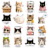 ready to sell everyday life stickers