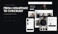 design and develop a professional shopify website