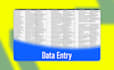 provide professional data entry web research and data scraping