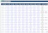 create a professional excel spreadsheet templates or dashboards