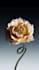 do 3d flower animation 3d flower model 3d plant animation flower animation
