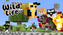 edit your minecraft videos