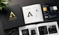 design professional brand usage guide, brand
