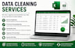 clean format and organize your excel or CSV data