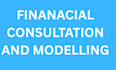 do financial modelling, financial audit, financial consultation