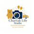 design social media posts and banners