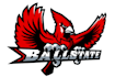 create amazing hamming bird mascot logo design