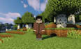 create custom minecraft mobs bosses npcs and animation for your server