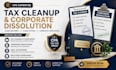provide CPA tax cleanup and corporate dissolution services