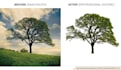 do professional background removal and object removal