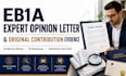 draft an eb1a expert opinion letter for original contribution evidence