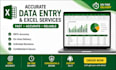 do accurate data entry and excel spreadsheet work