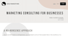 easily build a squarespace website that drives business