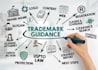 provide professional IP legal consultation