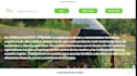 desing a profesional wix website whith whatsapp button