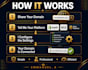 connect or transfer your domain to shopify