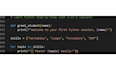 teach python programming to beinners step by step